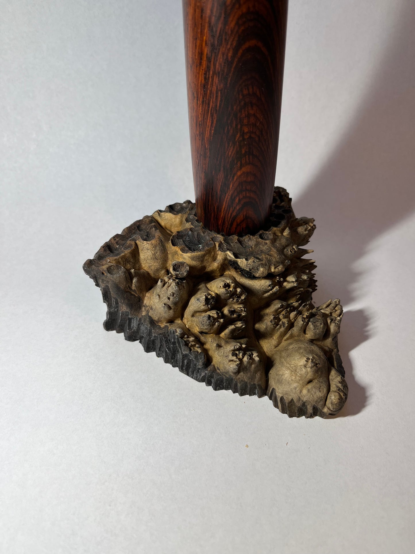 Cocobolo / Maple Burl Desk Lamp